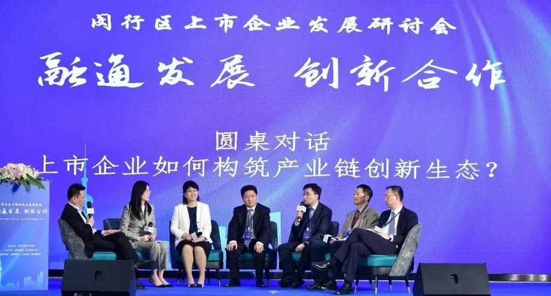 企业上市之路，问题解析与策略探讨